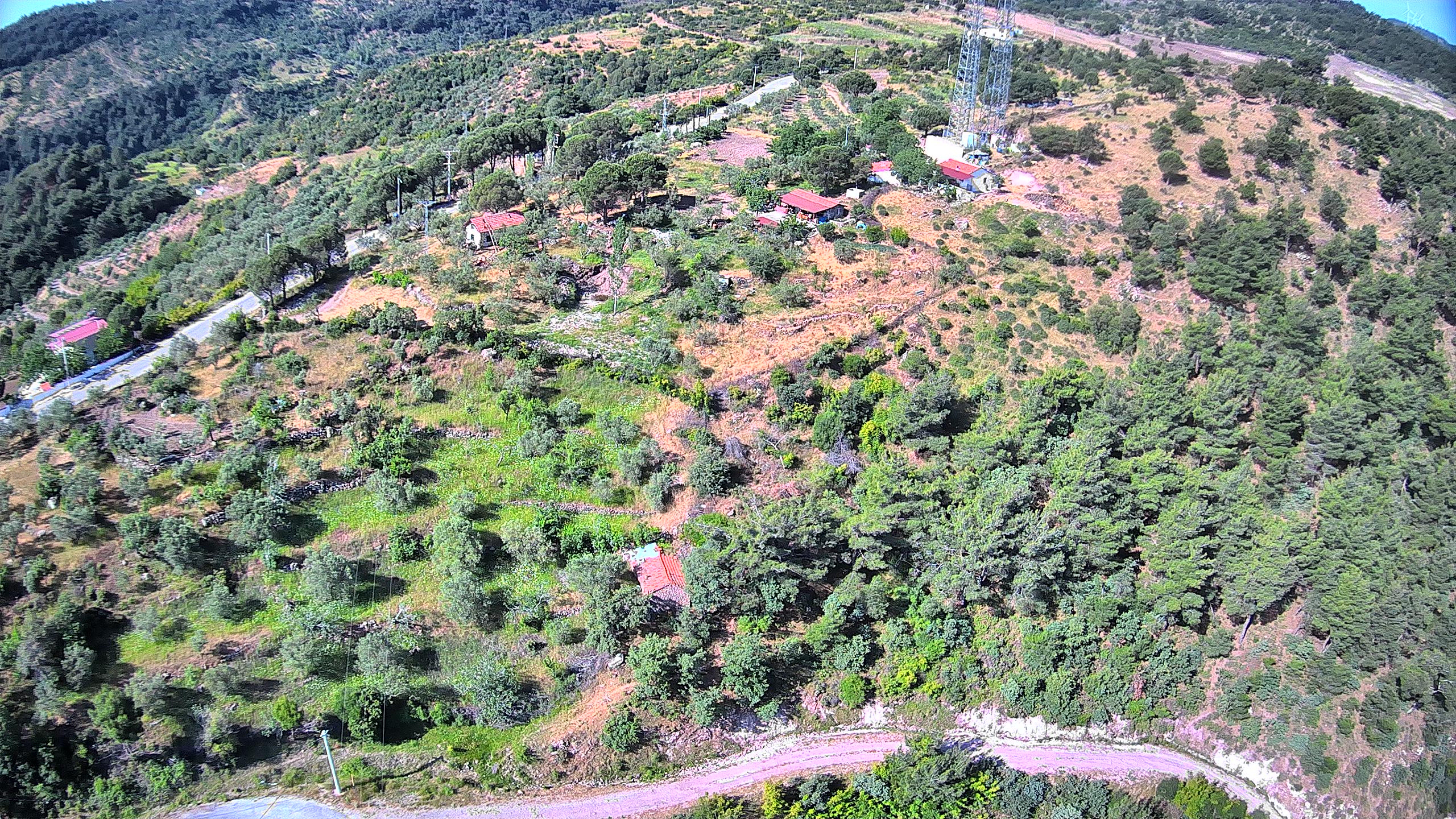 Pindasosevi Çevre Görünümü